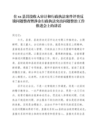 在县罚没收入审计和行政执法案件评查反馈问题整改暨涉企行政执法突出问题整治工作推进会上的讲话