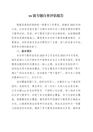 镇专题自查评估报告