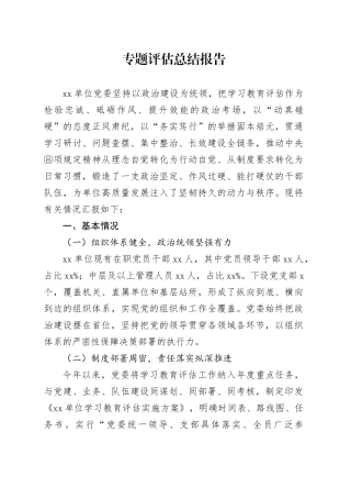 专题评估总结报告