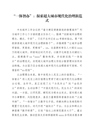 “一体智办”：探索超大城市现代化治理新范式