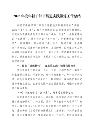 2025年度年轻干部下街道实践锻炼工作总结