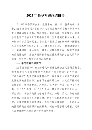 2025年县乡专题总结报告