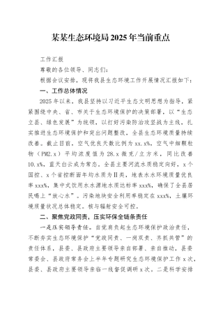 XX生态环境局2025年当前重点工作汇报