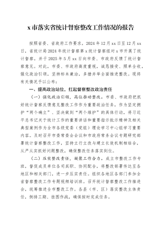 X市落实省统计督察整改工作情况的报告