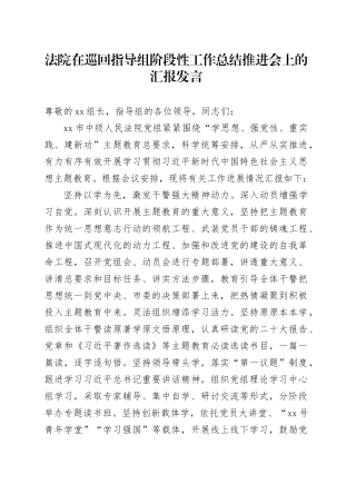 法院在巡回指导组阶段性工作总结推进会上的汇报发言