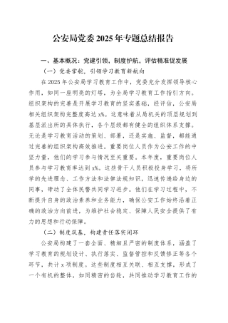 公安局党委2025年专题总结报告