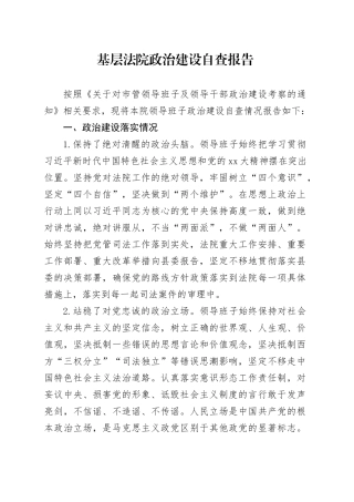 基层法院政治建设自查报告