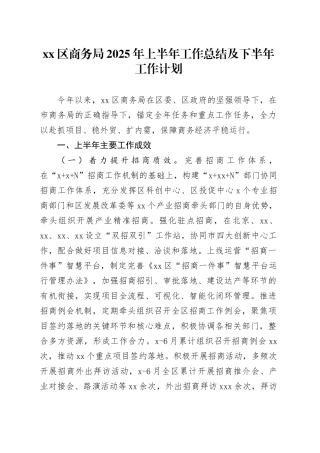 区商务局2025年上半年工作总结及下半年工作计划