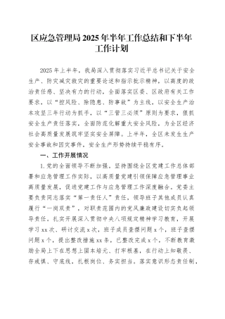区应急管理局2025年半年工作总结和下半年工作计划
