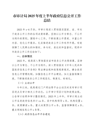 市审计局2025年度上半年政府信息公开工作总结