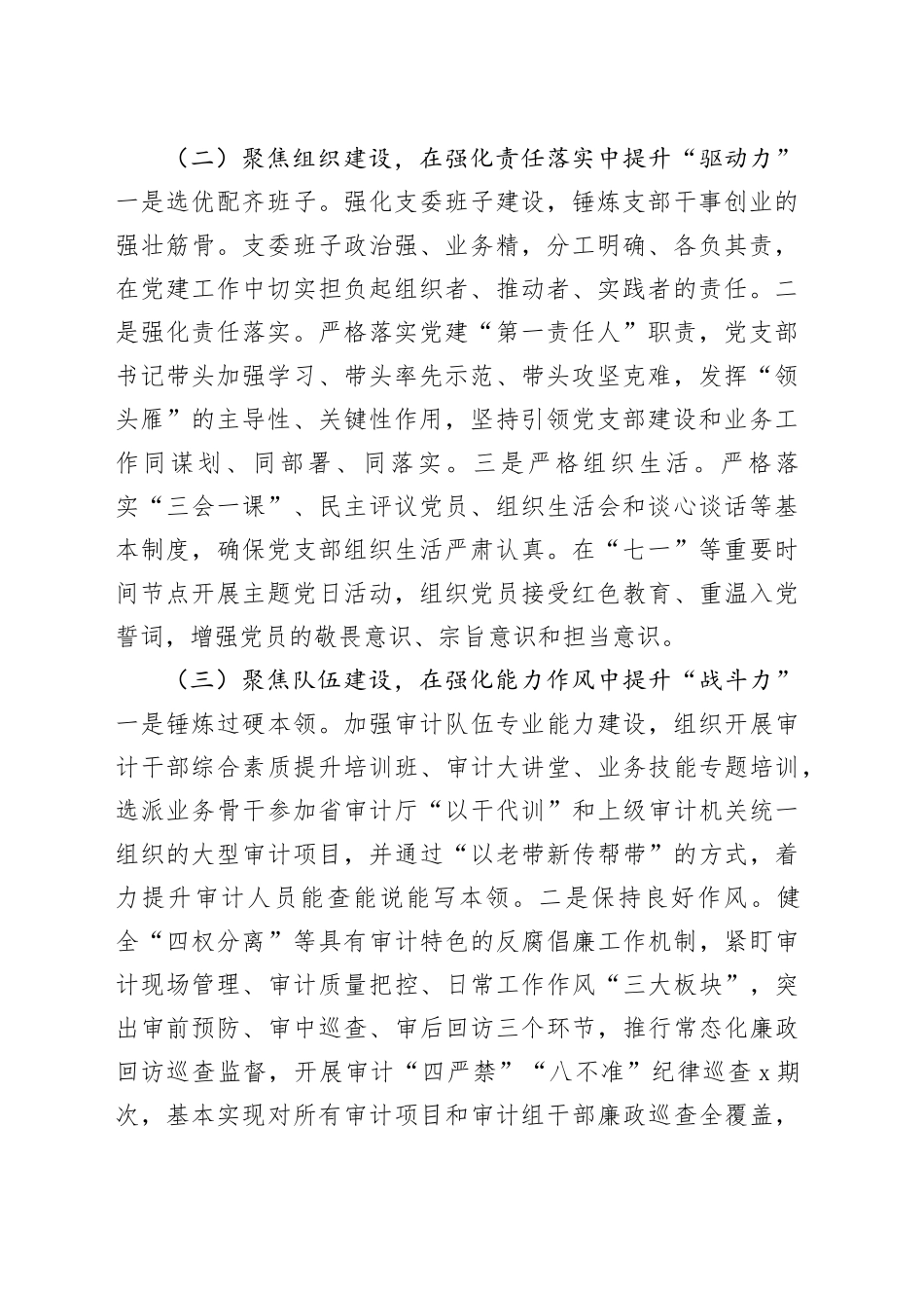 市审计局党支部2025年前三季度落实全面从严治党主体责任工作情况报告_第2页