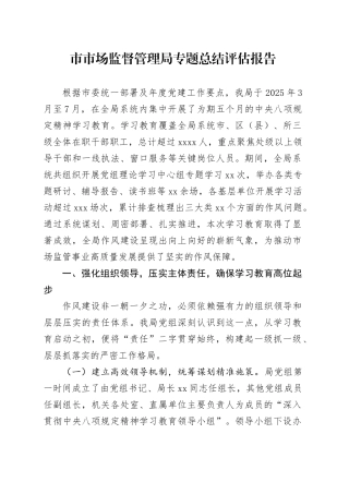市市场监督管理局专题总结评估报告
