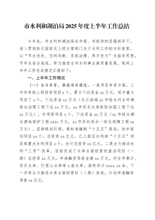 市水利和湖泊局2025年度上半年工作总结