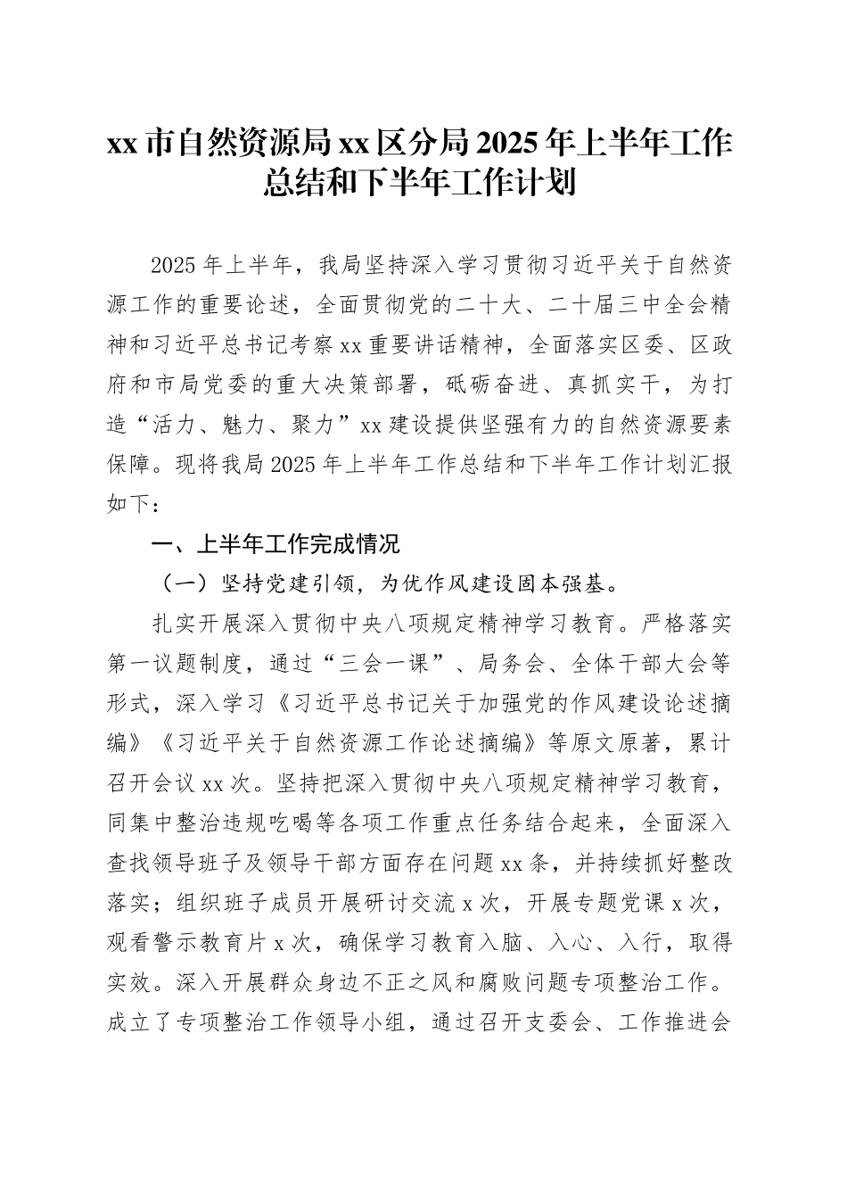 市自然资源局区分局2025年上半年工作总结和下半年工作计划_第1页