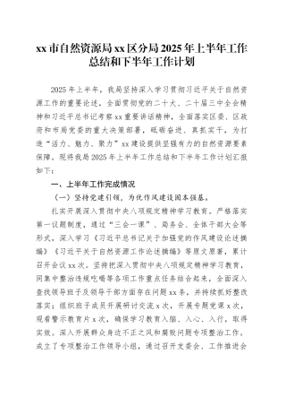 市自然资源局区分局2025年上半年工作总结和下半年工作计划