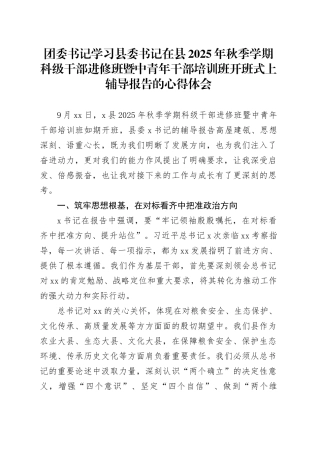 团委书记学习县委书记在县2025年秋季学期科级干部进修班暨中青年干部培训班开班式上辅导报告的心得体会