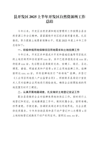 县开发区2025上半年开发区自然资源所工作总结