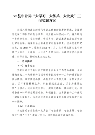 县审计局“大学习、大练兵、大比武”工作实施方案20250908