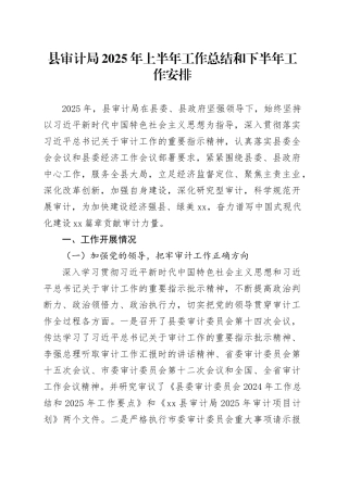 县审计局2025年上半年工作总结和下半年工作安排