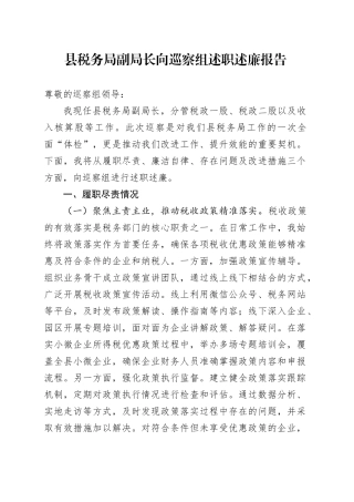 县税务局副局长向巡察组述职述廉报告