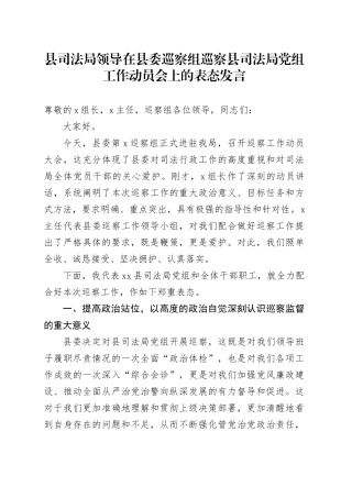 县司法局领导在县委巡察组巡察县司法局党组工作动员会上的表态发言