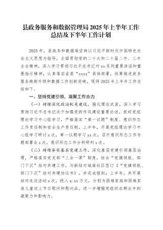 县政务服务和数据管理局2025年上半年工作总结及下半年工作计划