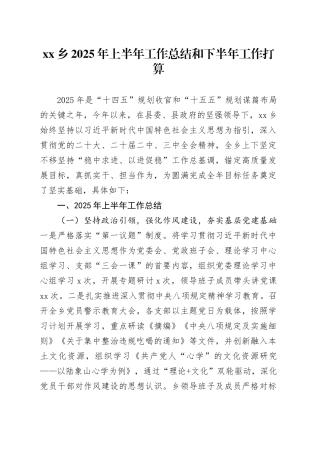 乡2025年上半年工作总结和下半年工作打算