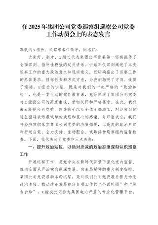 在2025年集团公司党委巡察组巡察公司党委工作动员会上的表态发言