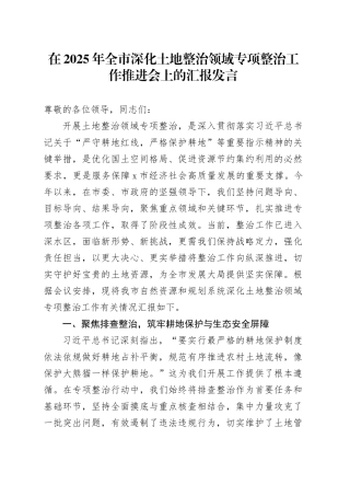在2025年全市深化土地整治领域专项整治工作推进会上的汇报发言