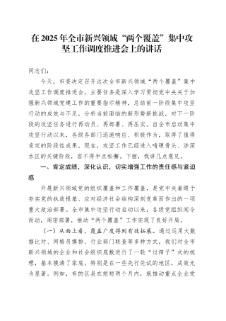 在2025年全市新兴领域“两个覆盖”集中攻坚工作调度推进会上的讲话