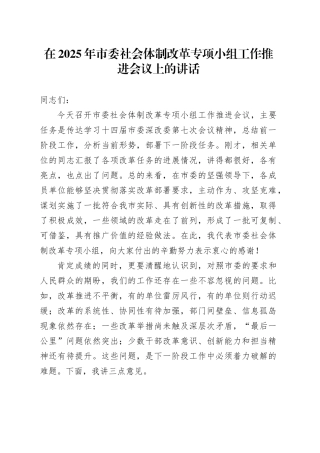 在2025年市委社会体制改革专项小组工作推进会议上的讲话