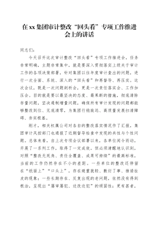 在集团审计整改“回头看”专项工作推进会上的讲话