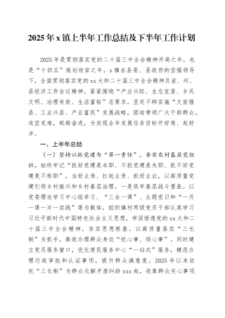 2025年X镇上半年工作总结及下半年工作计划