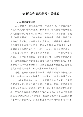 XX民宿发展现状及对策建议