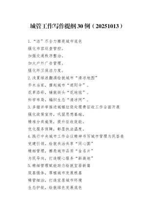 城管工作写作提纲30例（20251013）