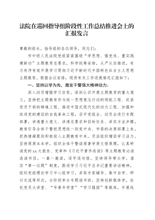 法院在巡回指导组阶段性工作总结推进会上的汇报发言
