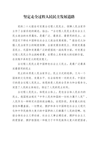 坚定走全过程人民民主发展道路