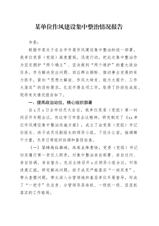 某单位作风建设集中整治情况报告