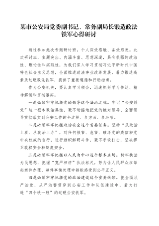 某市公安局党委副书记、常务副局长锻造政法铁军心得研讨