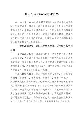 某市公安局队伍建设总结