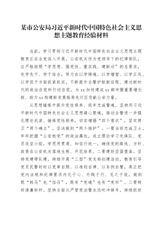 某市公安局习近平新时代中国特色社会主义思想主题教育经验材料