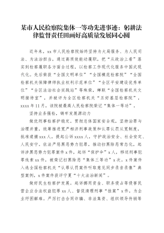 某市人民检察院集体一等功先进事迹：躬耕法律监督责任田画好高质量发展同心圆