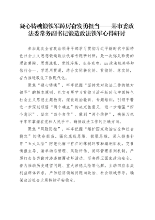 凝心铸魂锻铁军踔厉奋发勇担当——某市委政法委常务副书记锻造政法铁军心得研讨