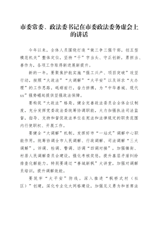 市委常委、政法委书记在市委政法委务虚会上的讲话