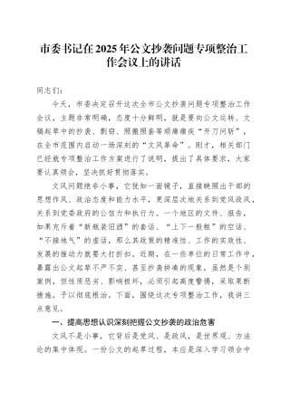 市委书记在2025年公文抄袭问题专项整治工作会议上的讲话