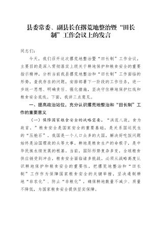 县委常委、副县长在撂荒地整治暨“田长制”工作会议上的发言