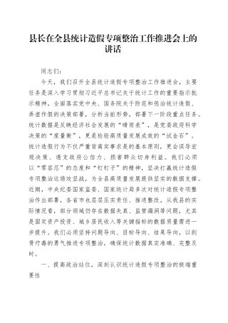 县长在全县统计造假专项整治工作推进会上的讲话