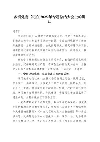 乡镇街道党委书记在2025年专题总结大会上的讲话