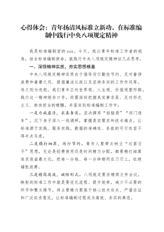 心得体会：青年扬清风标准立新功，在标准编制中践行中央八项规定精神