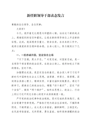 新任职领导干部表态发言20251009